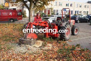 trekker met kleine stobbe... Omgeving Rotterdam