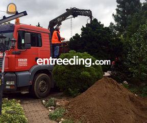 8x4 Containerwagen Omgeving Roermond