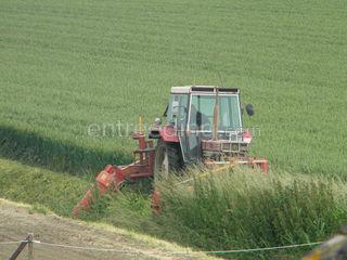 Dubbele klepelmaaier Omgeving Steenbergen