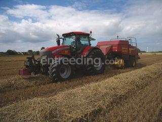 XTX 165 BB 1270 Omgeving Steenbergen