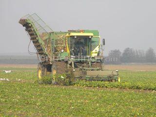 Riecam Omgeving Steenbergen