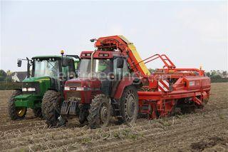  Omgeving Steenbergen