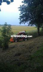 Omgeving Steenbergen