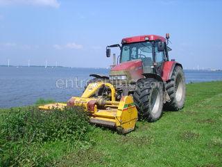  Omgeving Steenbergen