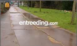 Stalen Rijplaten Omgeving Alphen a/d Rijn