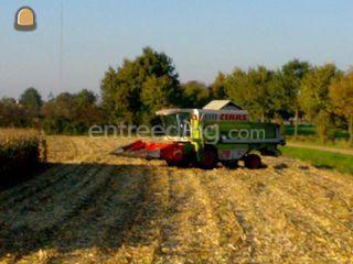 Claas dominator Omgeving Oosterhout