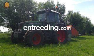 Takkensnipperaar 25 cm Omgeving Alphen a/d Rijn