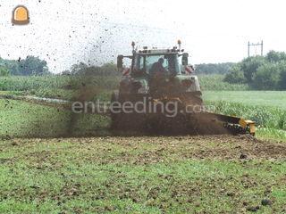 Bos wallenfrees Omgeving Alphen a/d Rijn