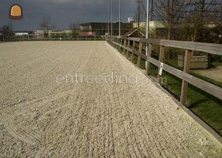 Paardenbakken Omgeving Utrecht