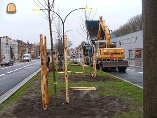 Aanplantingen - groenaanl... Omgeving Brugge