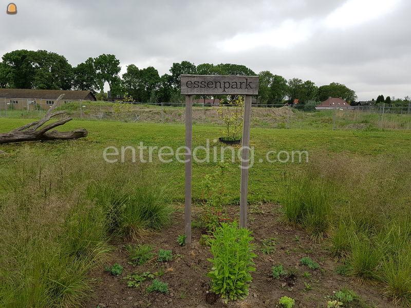 Hovenierswerkzaamheden