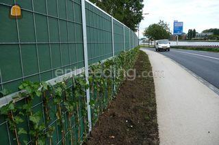 Hovenierswerkzaamheden en... Omgeving De Drechtsteden