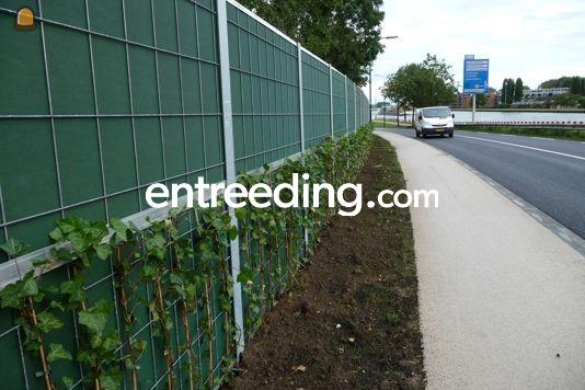 Koster Cultuurtechniek