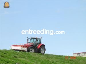 Massey ferguson met schotelmaaiers