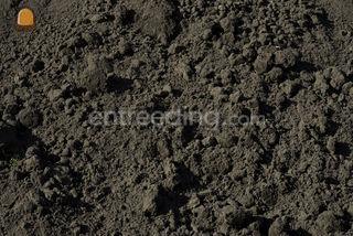 Schone zwarte grond Omgeving Nijmegen