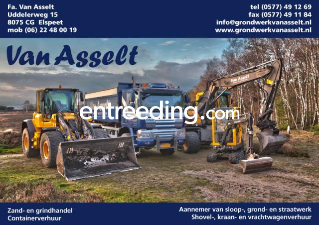 Grondwerk van Asselt uit Elspeet