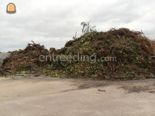 Snoeihout Inname Omgeving Amersfoort