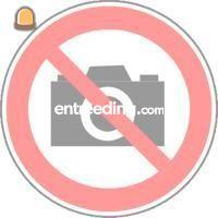 Case MX 110 +veegmachine Omgeving De Ronde Venen