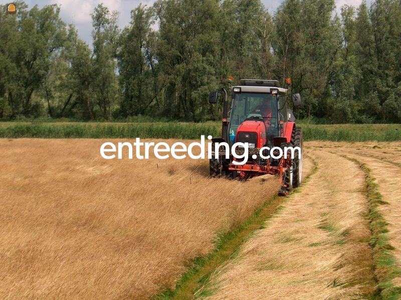 Graszaad maaien dubbelen messenbalk