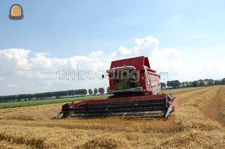 Massey Ferguson Centora 7... Omgeving Hoekse Waard