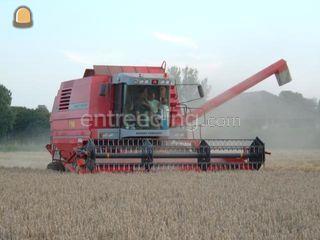 Massey Ferguson 38 Omgeving Hoekse Waard