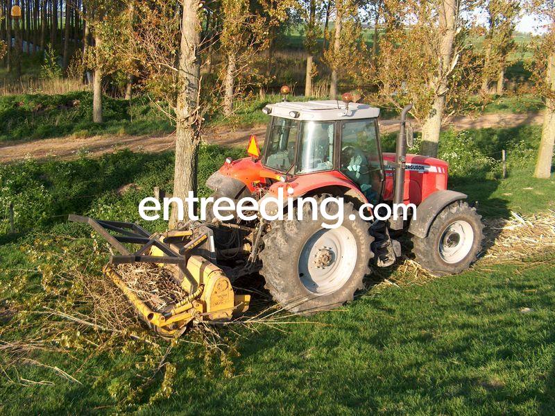 MF 6490 + MeriCrusher