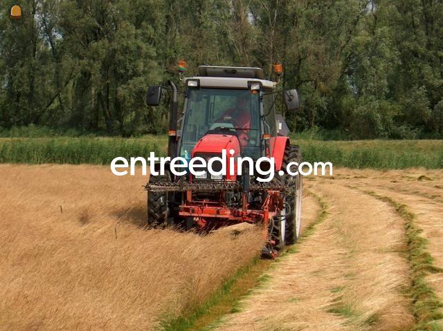 MF 4355 + Busatis messenbalk