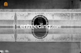 plaatsen rioleringen in p... Omgeving Hasselt