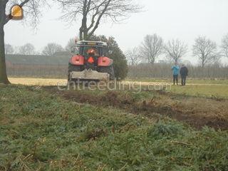 Bosfrees Omgeving Breda