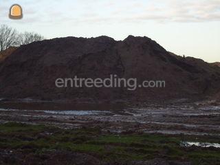 zwarte grond Omgeving Breda