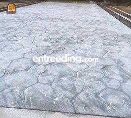 printbeton aanleggen Omgeving Genk