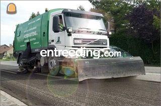 Borstelen Omgeving Genk