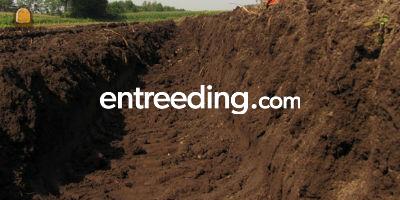 12000 m3 teelgrond Den Oever