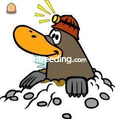 grondwerkers Omgeving Ijmuiden/Beverwijk