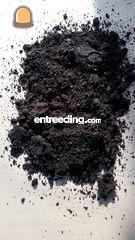 Veen Omgeving Harderwijk