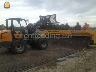 Tigerstone herbestratings... Omgeving Gouda