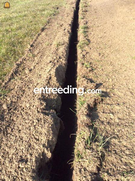 Greco rod2 sleuvenfrees