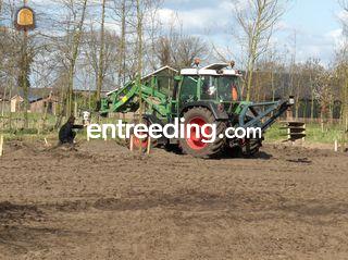 Palenboor Omgeving Wijk bij Duurstede
