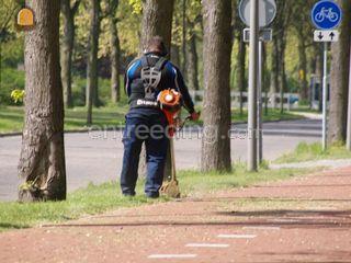 Hoveniers/groenvoorzienin... Omgeving Delft