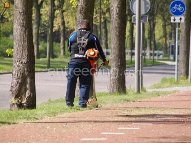 Hoveniers/groenvoorziening