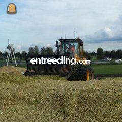 Volvo L70E Omgeving Culemborg