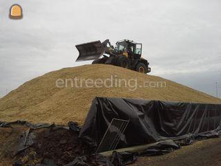 Komatsu WA 250 Omgeving Culemborg