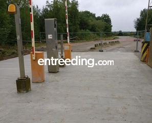 inrichting parkings, plaa... Omgeving Genk