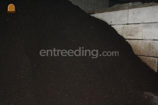 molmmest Omgeving De Drechtsteden