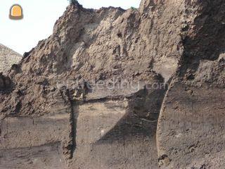 teelaarde Omgeving De Drechtsteden