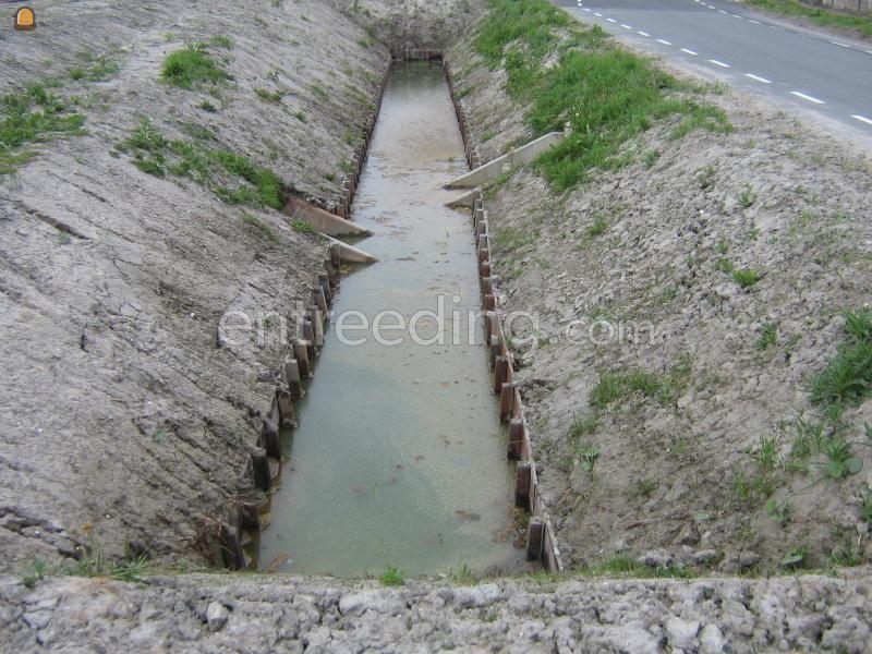 Diverse beschoeiingen Bleiswijk