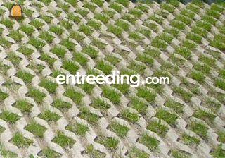 Grasbetontegels Omgeving Diest,Herk-de-Stad