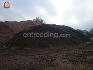 frees asfalt Omgeving Lochem