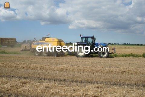 New Holland BB960 CC