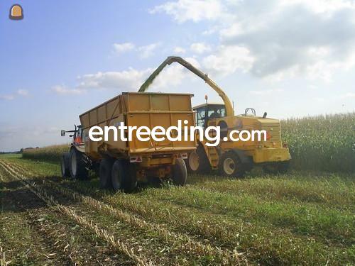 2x Beco Super 1200 silage kipper